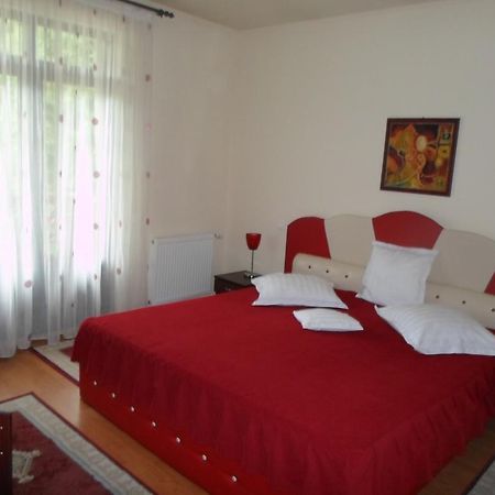 Hotel Pensiunea Speranta Sovata Esterno foto